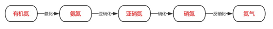 总氮去除剂|总氮去除方法